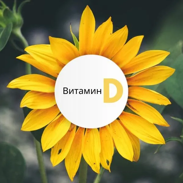 Недостаток витамина Д