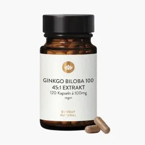 Экстракт Гингко Билоба для улучшения памяти и циркуляции | Sunday Natural Ginkgo Biloba 100mg 45:1 Extrakt | 120 капсул