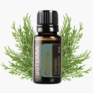 Ефірна олія кипариса 15 мл від ДоТерра | Cupressus Sempervirens DoTerra
