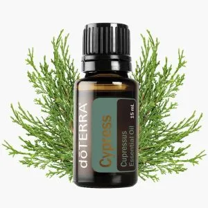 Ефірна олія кипариса 15 мл від ДоТерра | Cupressus Sempervirens DoTerra