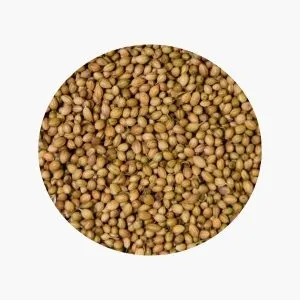 Насіння коріандру | CORIANDER SEEDS | КОРІАНДЕР | ORGANIC | 50 ГРАМ