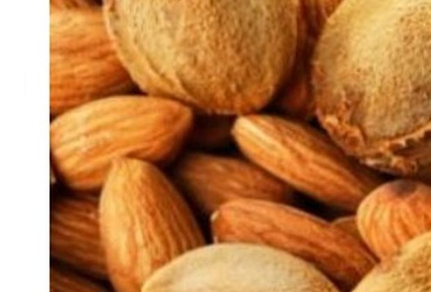 Что такое витамин B17 и в каких продуктах он содержится?