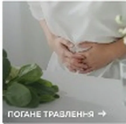 Учебно-методический курс по восстановлению работы Пищеварительной Системы